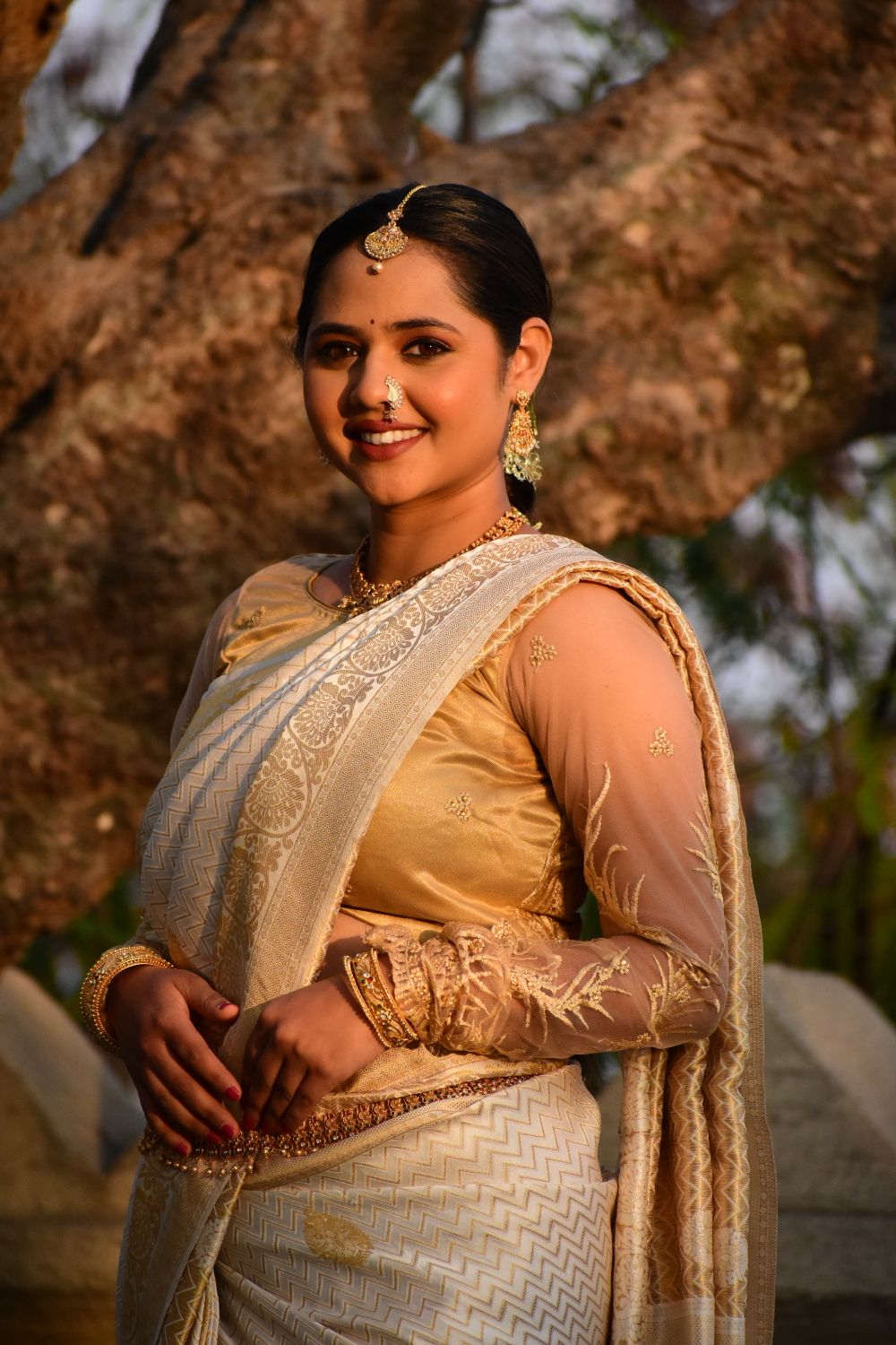Illustrative saree styling for the hand work saree collection