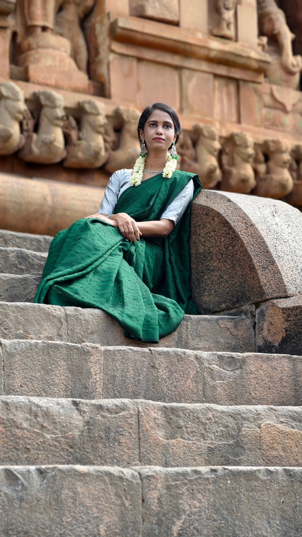 Illustrative saree styling for the handloom cotton collection